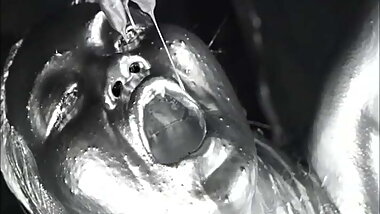 Japanese silver Paint